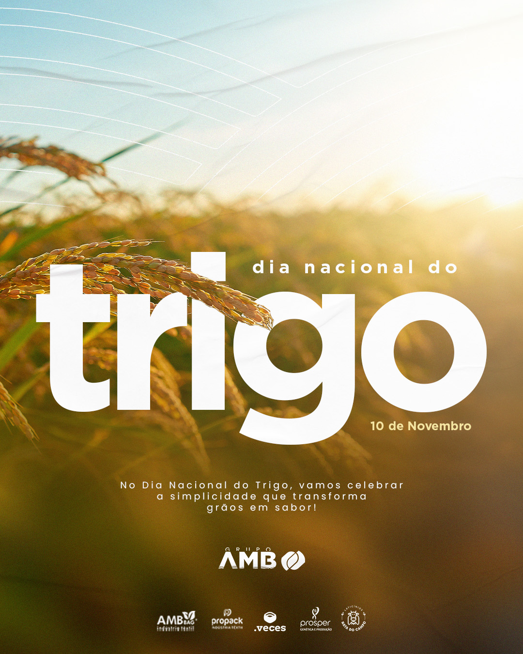Grupo AMB Instagram